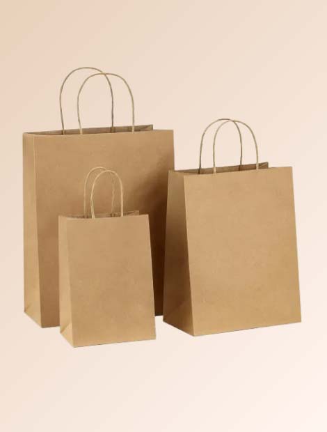 Paper Bags